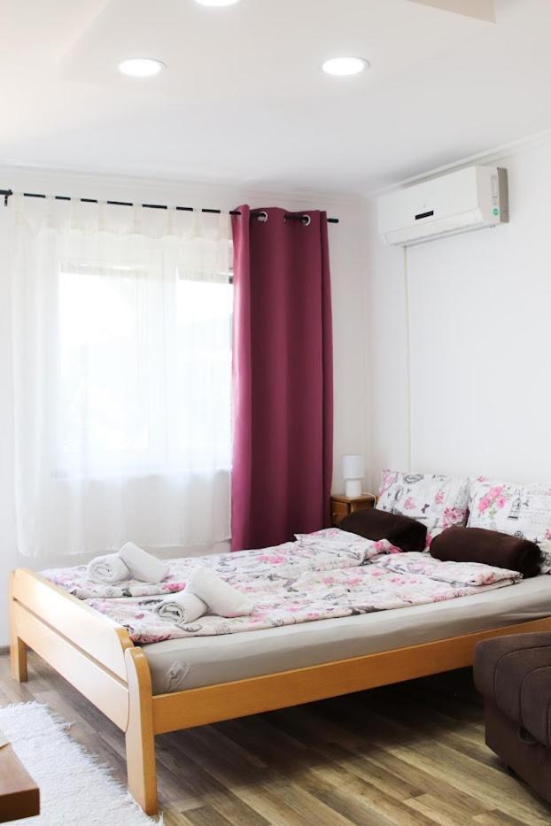 Charming Studio Masa Palic Bagian luar foto